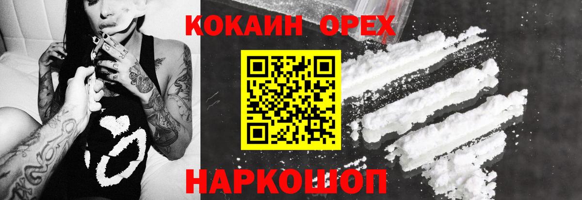 Петропавловск-Камчатский  Кокаин Боливия  Вход с VPN 