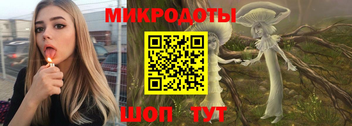 Петропавловск-Камчатский  Псилоцибиновые грибы Psilocybe  Вход с VPN 